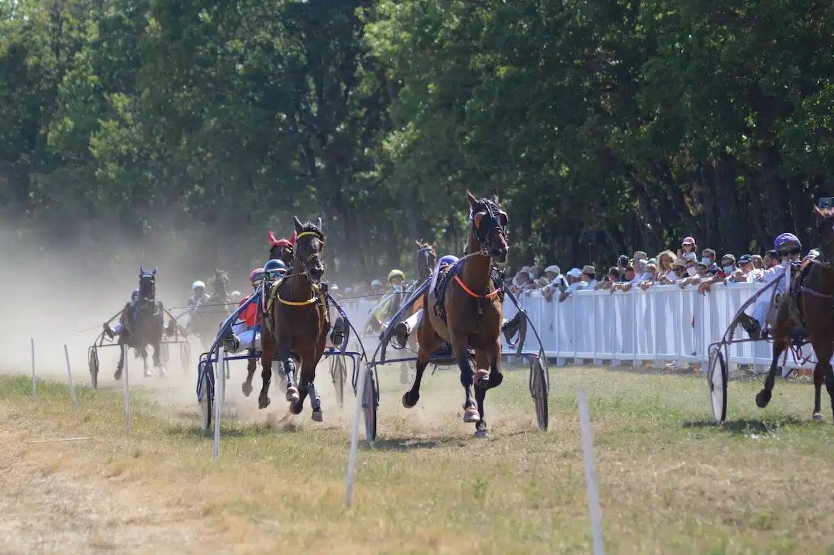 cheval  assurance